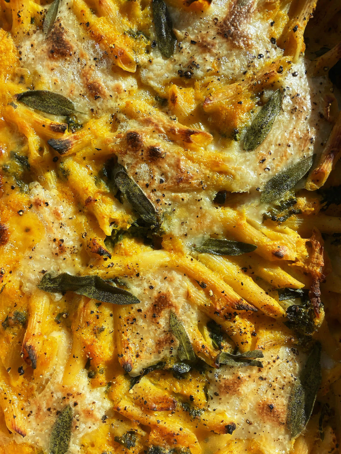 Miyoko’s Sage and Butternut Squash Pasta Bake