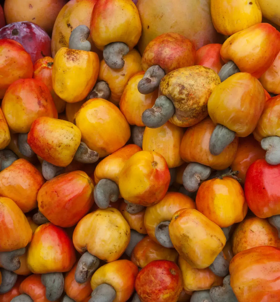 cashew fruits