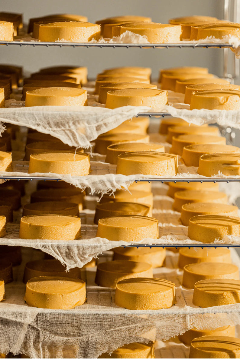 drying cheese rack